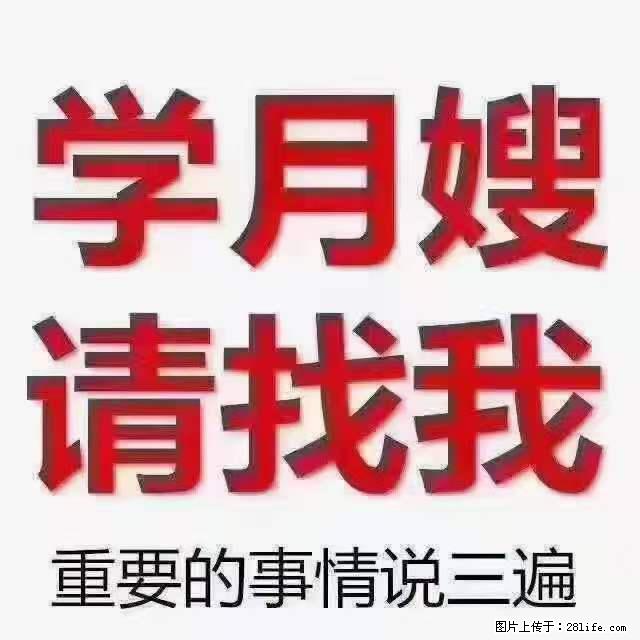 为什么要学习月嫂，育婴师？ - 其他广告 - 广告专区 - 仙桃分类信息 - 仙桃28生活网 xiantao.28life.net