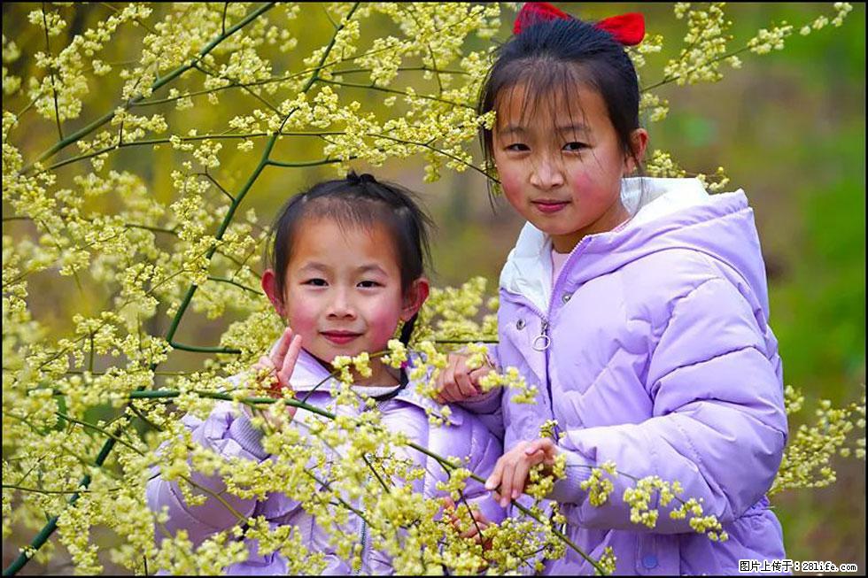 【春天，广西桂林灌阳县向您发出邀请！】米珠山前有片山苍子花在飘香 - 游山玩水 - 仙桃生活社区 - 仙桃28生活网 xiantao.28life.net