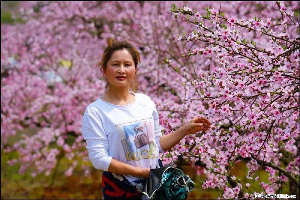 【春天，广西桂林灌阳县向您发出邀请！】官庄村有个醉美的桃花园 - 游山玩水 - 仙桃生活社区 - 仙桃28生活网 xiantao.28life.net