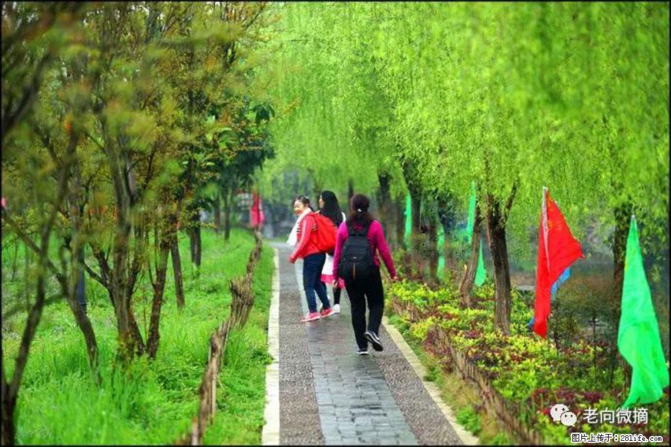 【春天，广西桂林灌阳县向您发出邀请！】江口老街又逢春 - 游山玩水 - 仙桃生活社区 - 仙桃28生活网 xiantao.28life.net