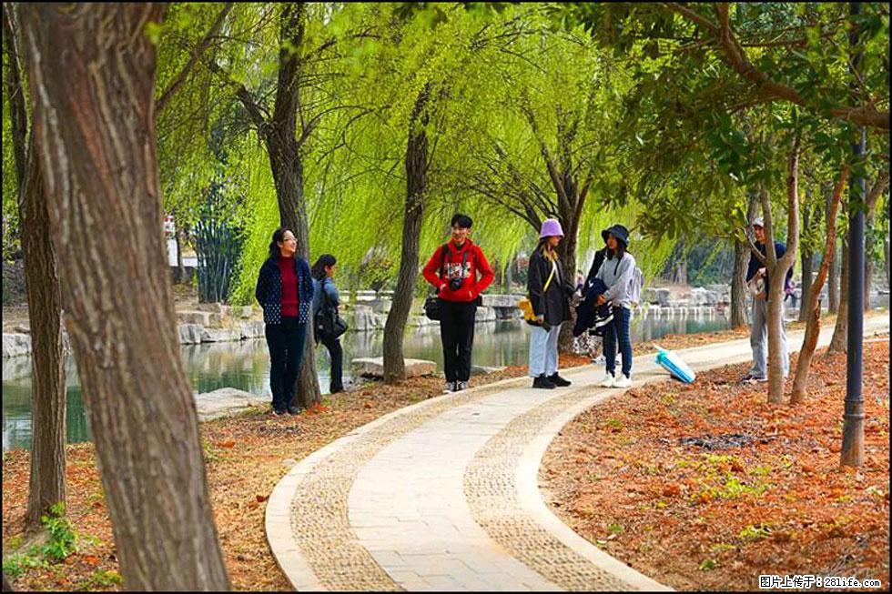 【春天，广西桂林灌阳县向您发出邀请！】江口老街又逢春 - 游山玩水 - 仙桃生活社区 - 仙桃28生活网 xiantao.28life.net