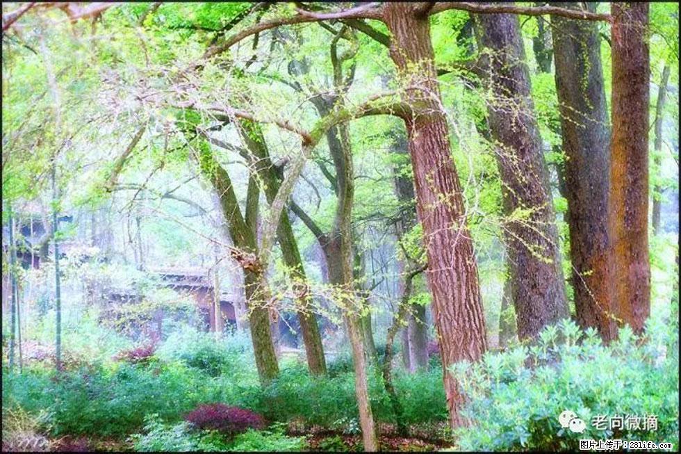【春天，广西桂林灌阳县向您发出邀请！】在小龙村与春天约会 - 游山玩水 - 仙桃生活社区 - 仙桃28生活网 xiantao.28life.net