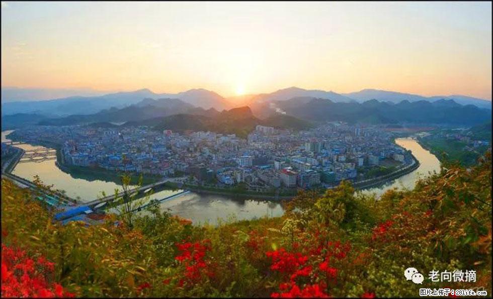 【春天，广西桂林灌阳县向您发出邀请！】登麒麟山，相约映山红 - 游山玩水 - 仙桃生活社区 - 仙桃28生活网 xiantao.28life.net