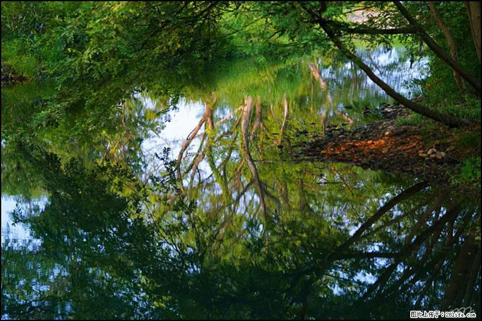 【春天，广西桂林灌阳县向您发出邀请！】熊家寨湿地公园 - 游山玩水 - 仙桃生活社区 - 仙桃28生活网 xiantao.28life.net