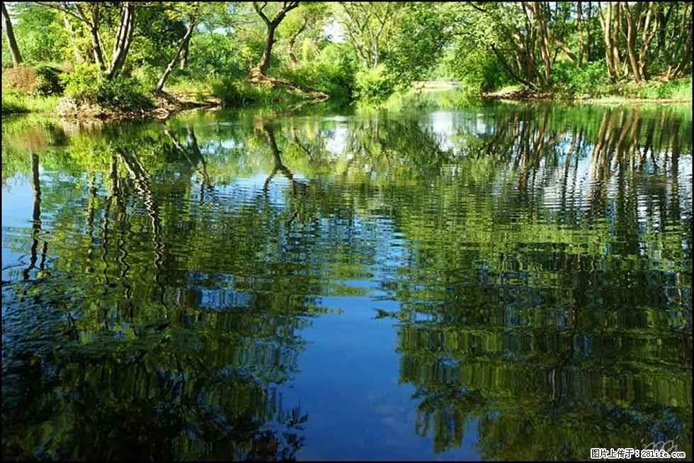 【春天，广西桂林灌阳县向您发出邀请！】熊家寨湿地公园 - 游山玩水 - 仙桃生活社区 - 仙桃28生活网 xiantao.28life.net
