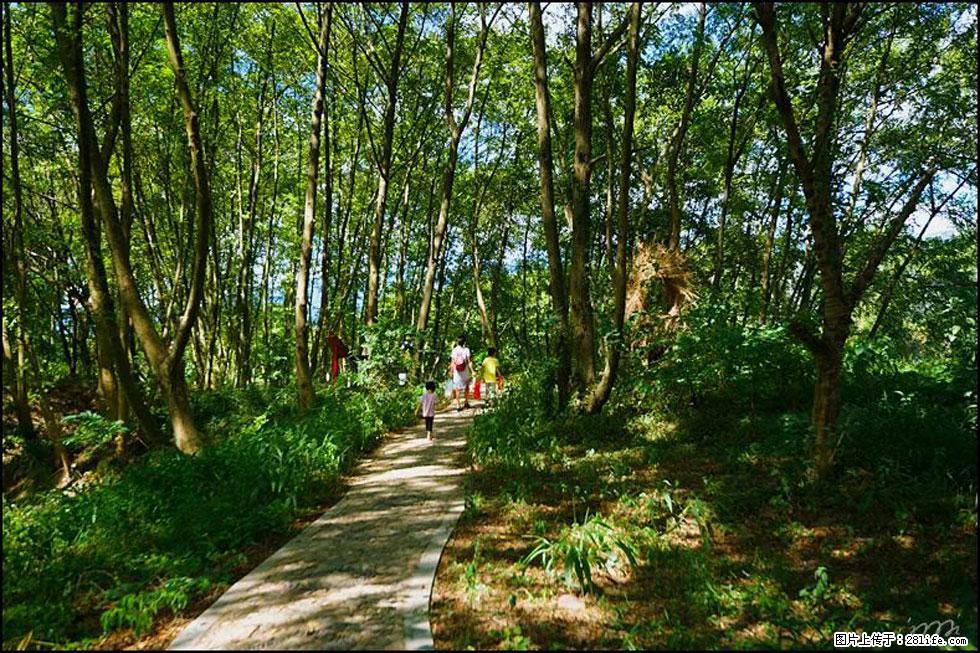 【春天，广西桂林灌阳县向您发出邀请！】熊家寨湿地公园 - 游山玩水 - 仙桃生活社区 - 仙桃28生活网 xiantao.28life.net