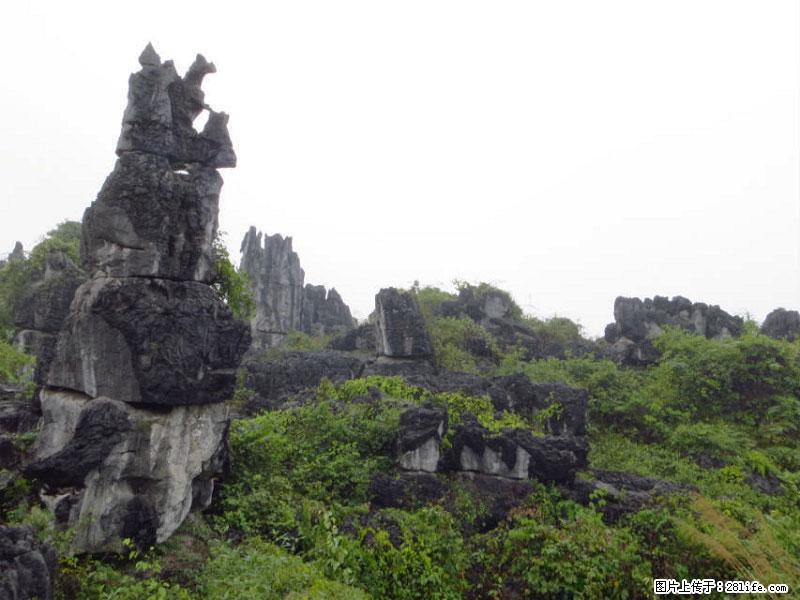 桂林旅游名城景点：灌阳文市石林 - 游山玩水 - 仙桃生活社区 - 仙桃28生活网 xiantao.28life.net