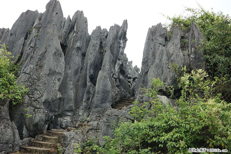 桂林旅游名城景点：灌阳文市石林 - 游山玩水 - 仙桃生活社区 - 仙桃28生活网 xiantao.28life.net