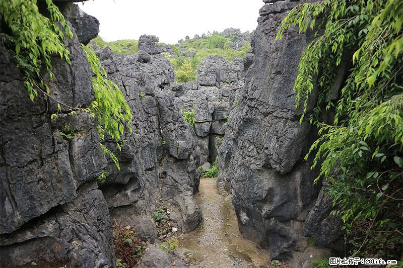桂林旅游名城景点：灌阳文市石林 - 游山玩水 - 仙桃生活社区 - 仙桃28生活网 xiantao.28life.net