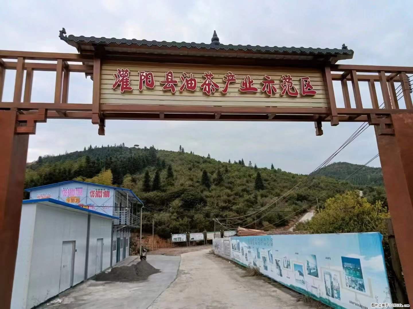 【灌阳县油茶产业示范区】一个有着充实的精神生活的人，对待身外之物自会有一种淡泊的态度 - 美食天地 - 仙桃生活社区 - 仙桃28生活网 xiantao.28life.net