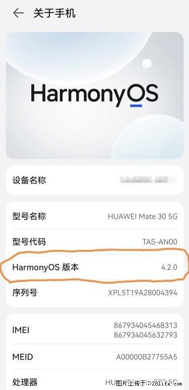 华为手机Mate30 如何开启开发者选项？ - 生活百科 - 仙桃生活社区 - 仙桃28生活网 xiantao.28life.net