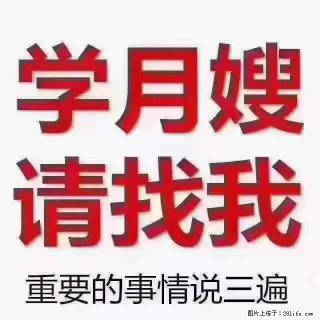 为什么要学习月嫂，育婴师？ - 仙桃28生活网 xiantao.28life.net
