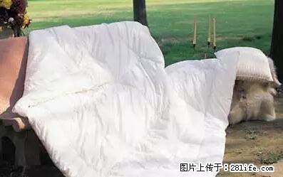被子有异味？只要这样做，比晒太阳还强100倍！ - 家居生活 - 仙桃生活社区 - 仙桃28生活网 xiantao.28life.net