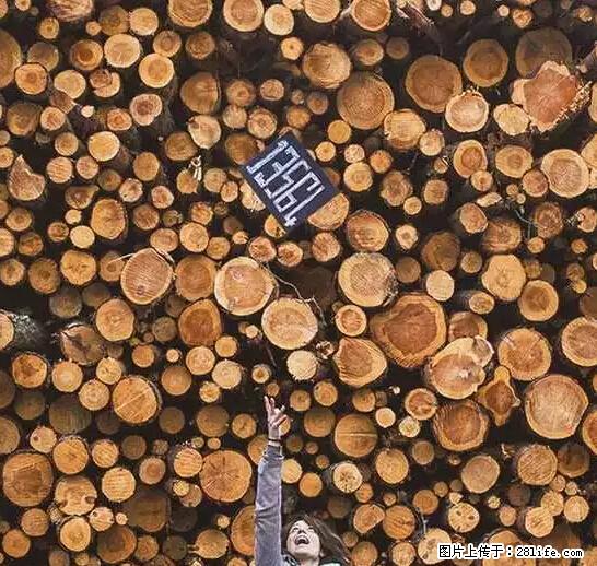 辞掉工作周游世界？现在他们在洗厕所…… - 游山玩水 - 仙桃生活社区 - 仙桃28生活网 xiantao.28life.net