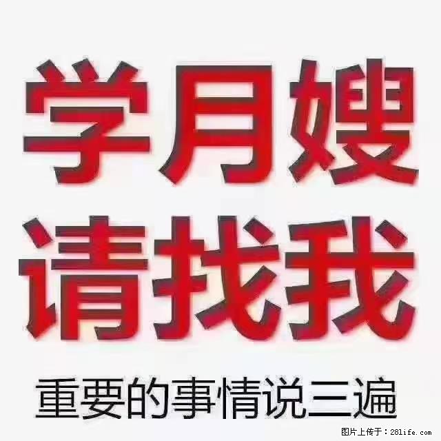 【招聘】月嫂，上海徐汇区 - 职场交流 - 仙桃生活社区 - 仙桃28生活网 xiantao.28life.net
