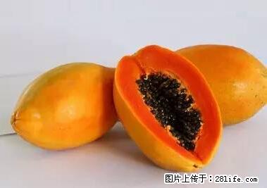 晕车、脚气、牙齿变黄、皮肤粗糙？学会这些三分钟搞定！ - 仙桃生活资讯 - 仙桃28生活网 xiantao.28life.net