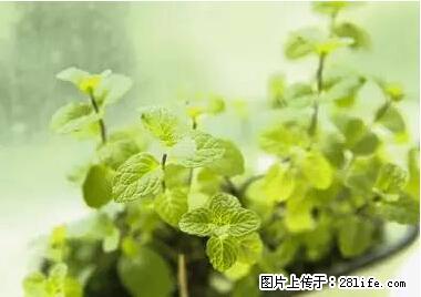 晕车、脚气、牙齿变黄、皮肤粗糙？学会这些三分钟搞定！ - 仙桃生活资讯 - 仙桃28生活网 xiantao.28life.net