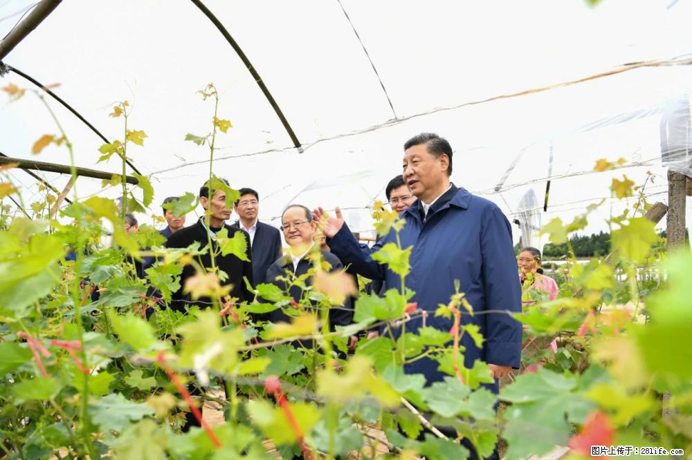 习近平赴广西考察调研 - 仙桃生活资讯 - 仙桃28生活网 xiantao.28life.net