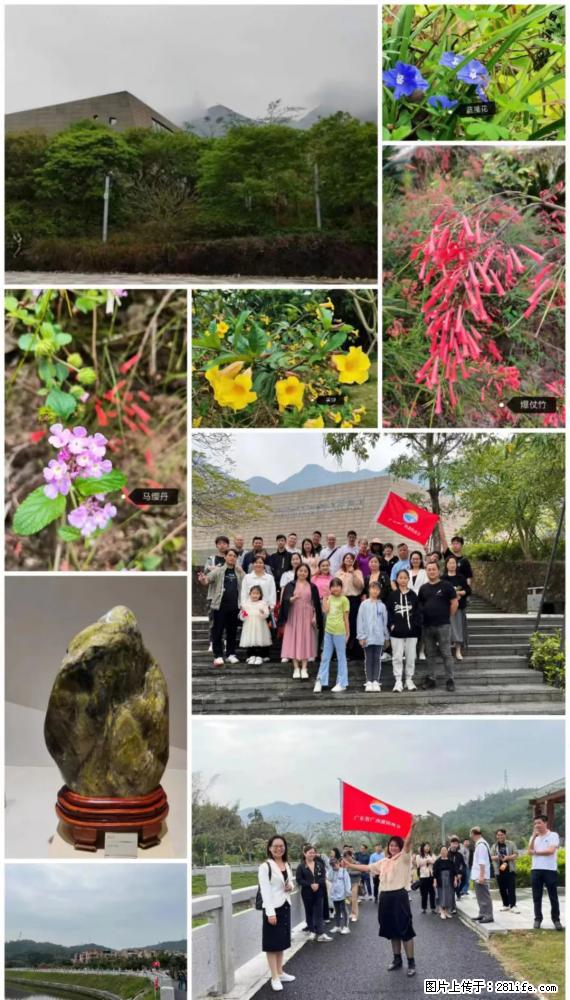 “粤灌文化 美好生活”油茶文化主题活动在广东深圳成功举办 - 仙桃生活资讯 - 仙桃28生活网 xiantao.28life.net