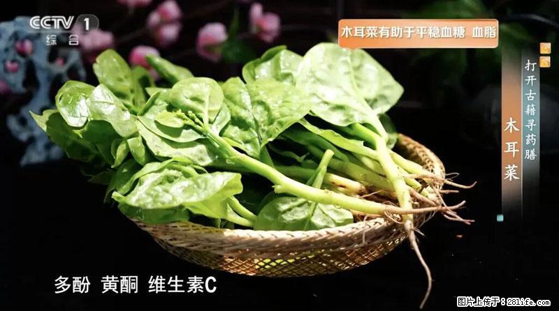 比牛奶补钙还厉害！凉血解毒、稳血糖...这菜冬天必吃，很多人却当草 - 仙桃生活资讯 - 仙桃28生活网 xiantao.28life.net