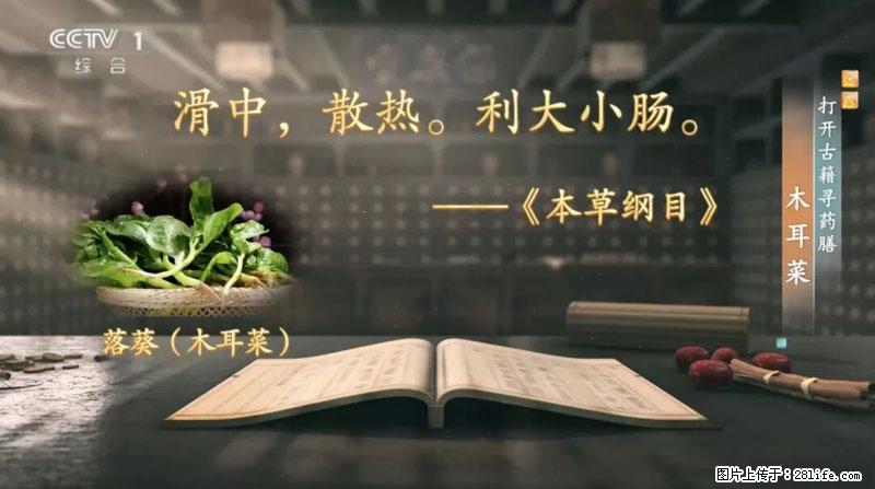 比牛奶补钙还厉害！凉血解毒、稳血糖...这菜冬天必吃，很多人却当草 - 仙桃生活资讯 - 仙桃28生活网 xiantao.28life.net