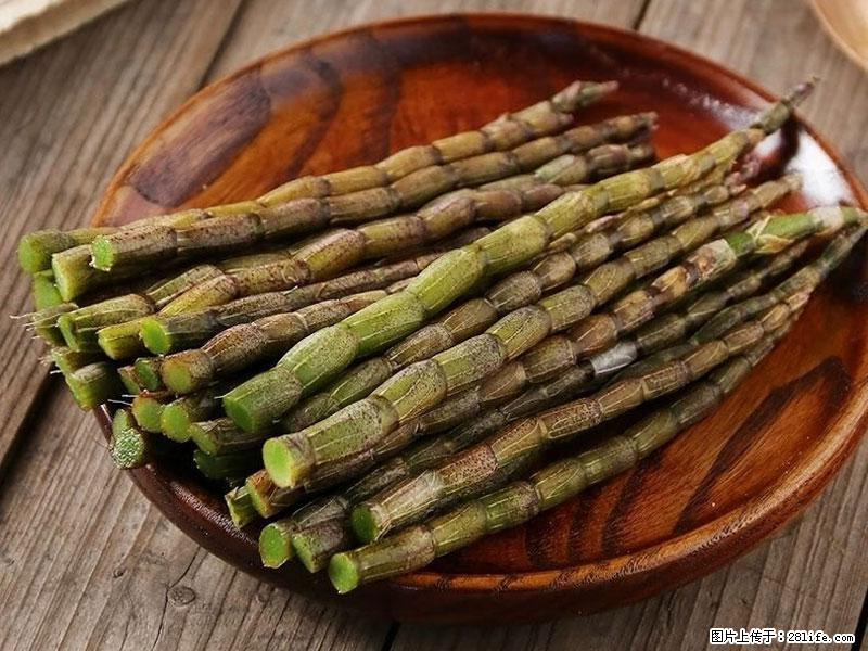 铁皮石斛的作用与功能主治 - 仙桃生活资讯 - 仙桃28生活网 xiantao.28life.net