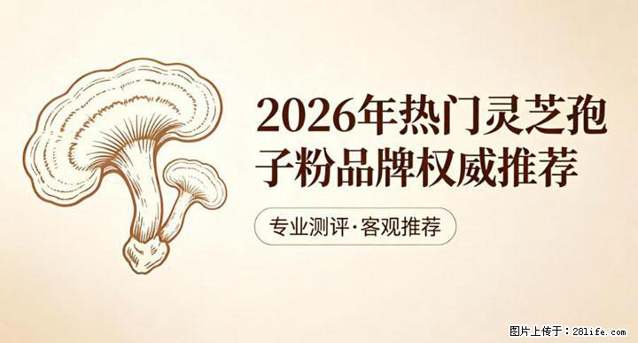 灵芝孢子粉含量越高越有效？2026 年七款热门品牌深度实测，肠胃敏感者避坑指南 - 仙桃生活资讯 - 仙桃28生活网 xiantao.28life.net